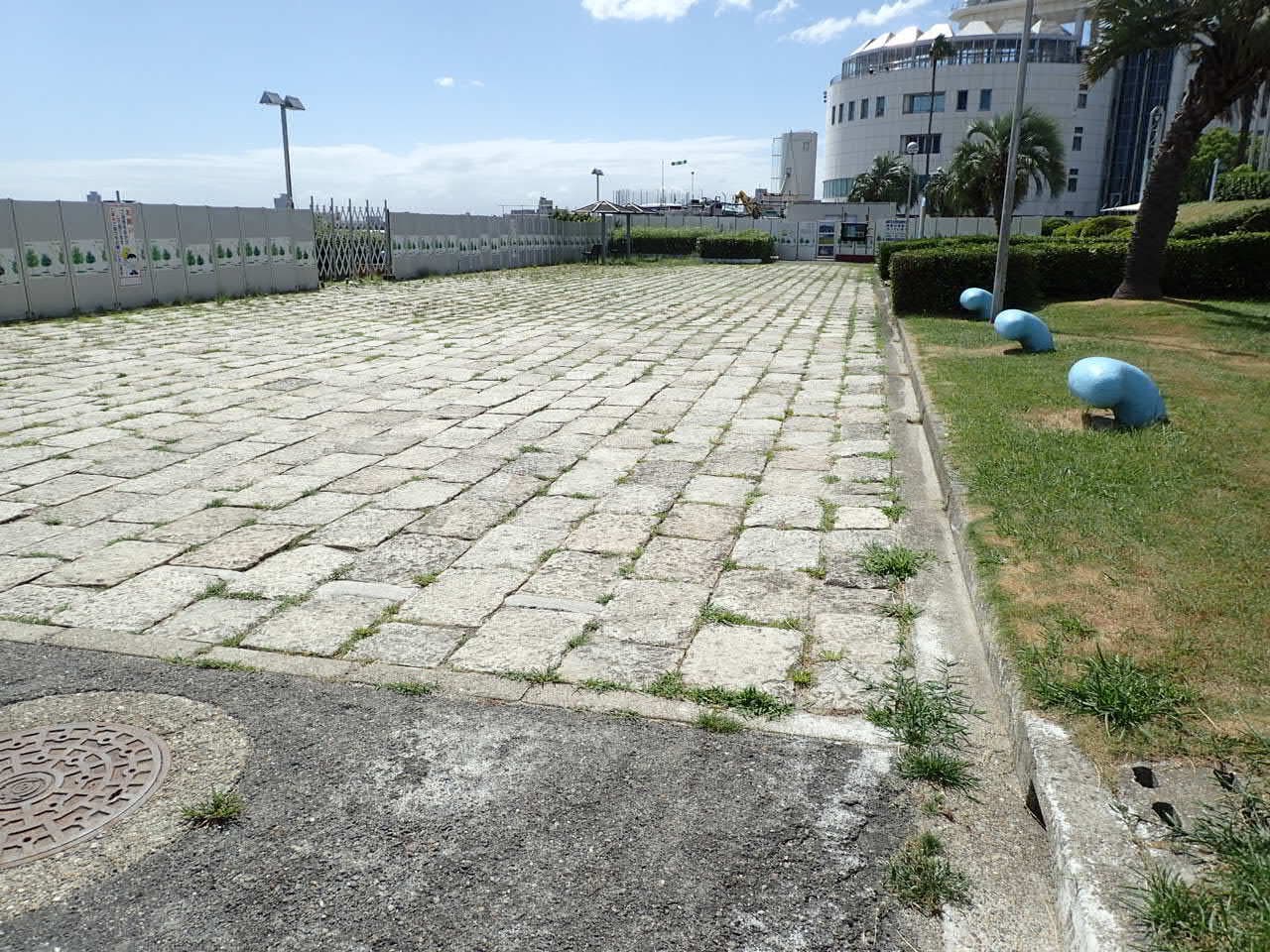 p8100014.jpg