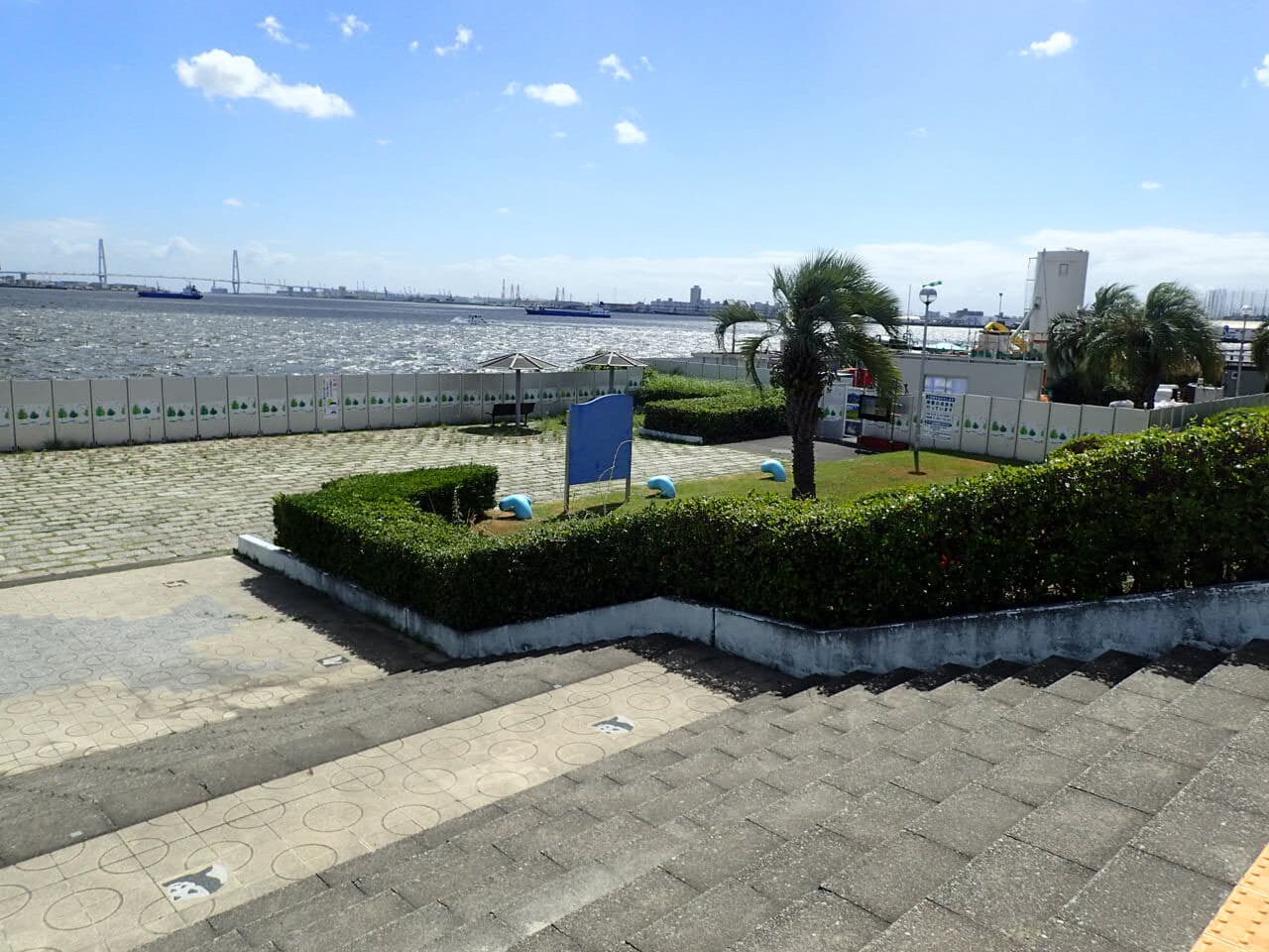 p8100016.jpg