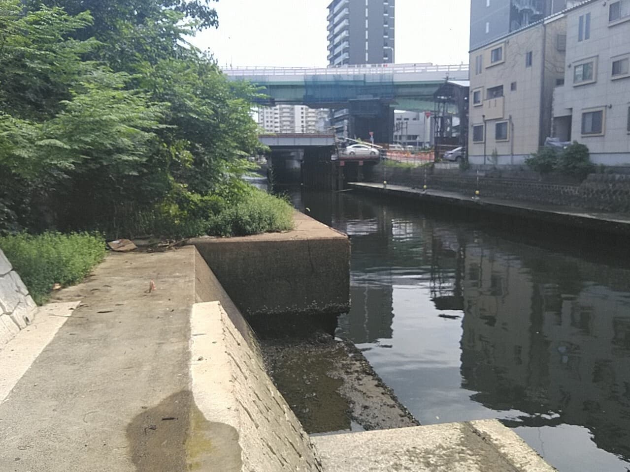 2022年4月 現場状況報告