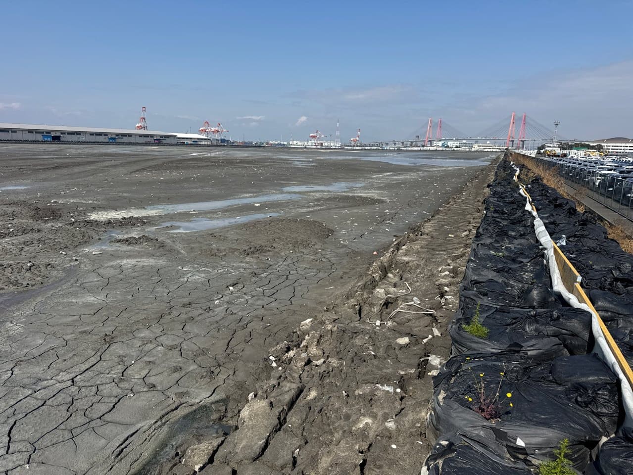 2022年4月　現場状況報告