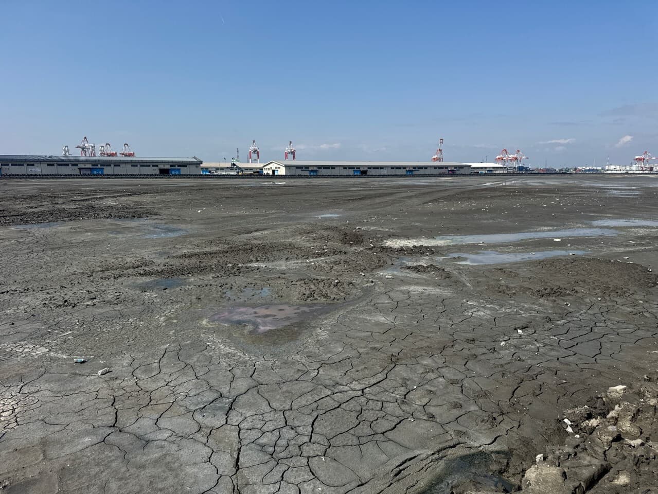 2022年4月　現場状況報告