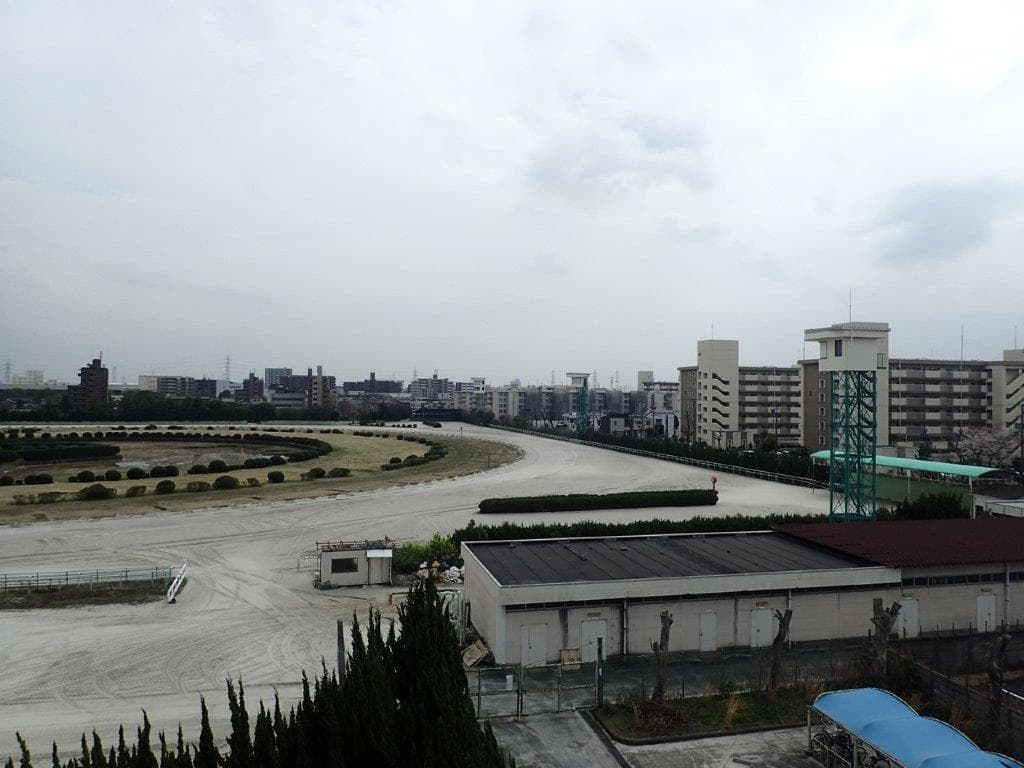 img20220609142919435990.jpg