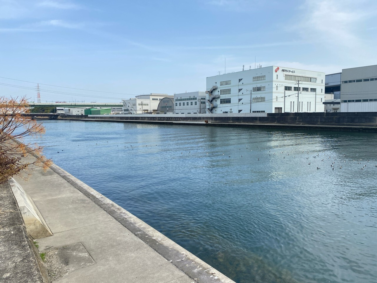 2022年4月　現場状況報告