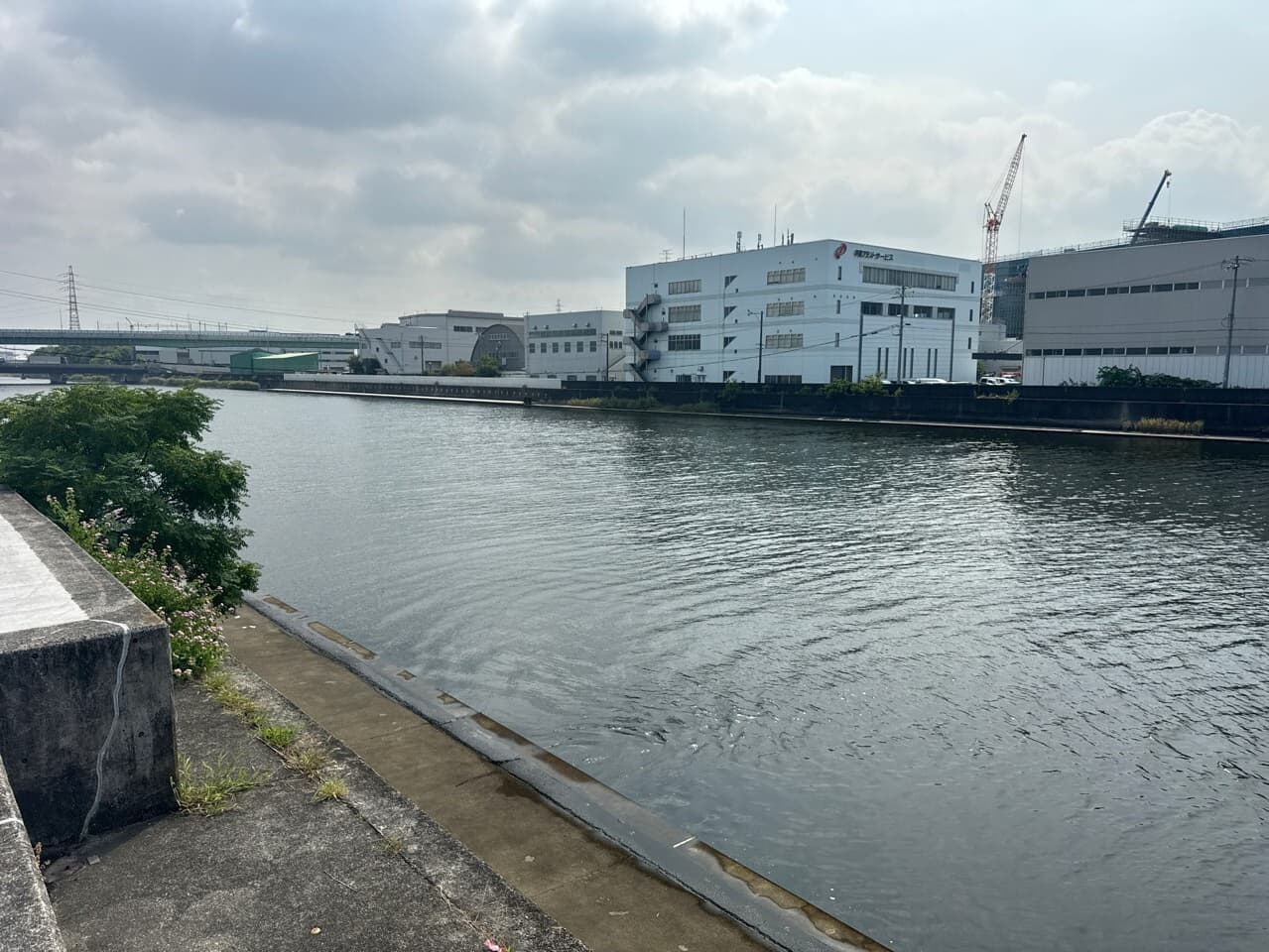 2022年4月　現場状況報告