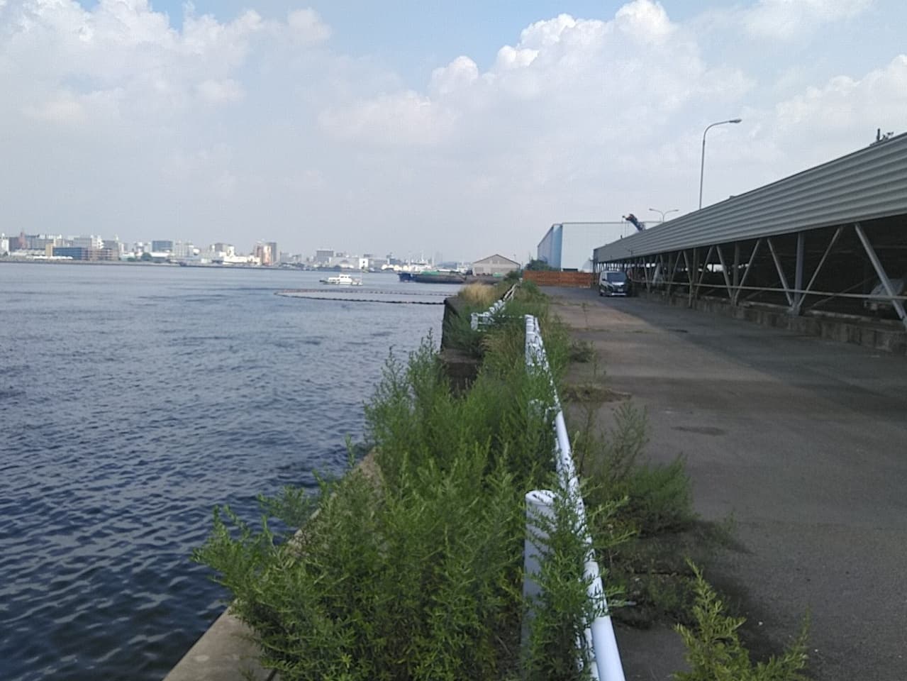 2022年4月 現場状況報告