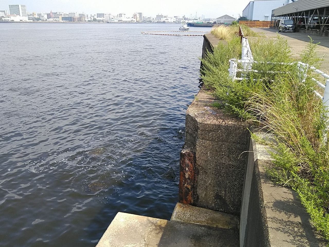 2022年4月 現場状況報告